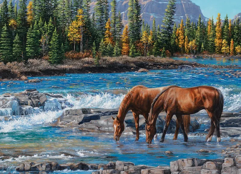 Puzzle Sur les Rochers - 1000 pièces de Cobble Hill – boîte