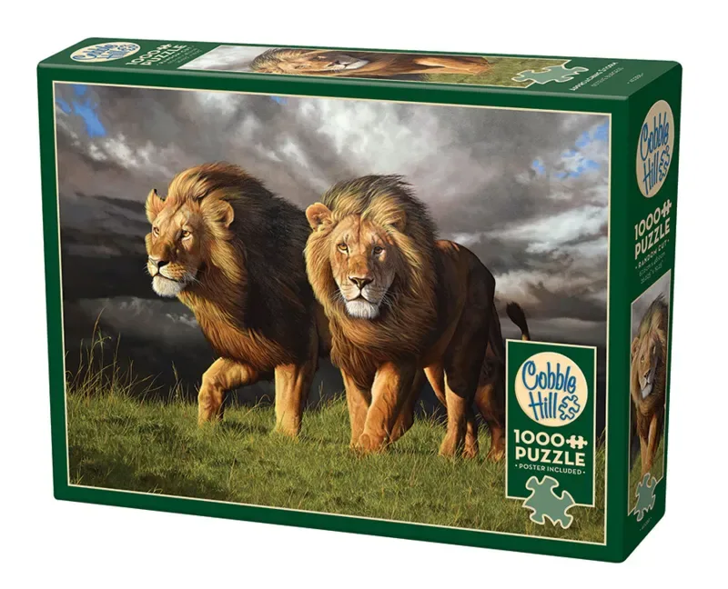 Puzzle Tempête Imminente - 1000 pièces from Cobble Hill – box 2 of 2