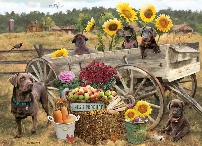 Puzzle Wagon de Choc - 500 à 999 pièces van Cobble Hill – doos