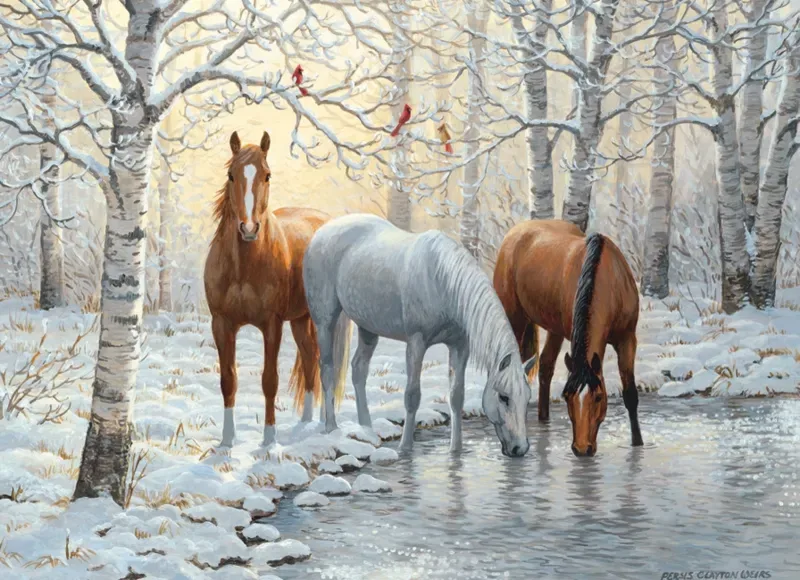 Puzzle Winter Trio - 1000 pièces de Cobble Hill – boîte