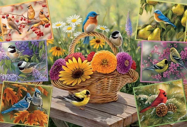 Rosemary's Birds (2000) de Cobble Hill – boîte
