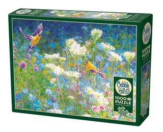 Visiting the Meadow (1000) from Cobble Hill – box 2 of 2