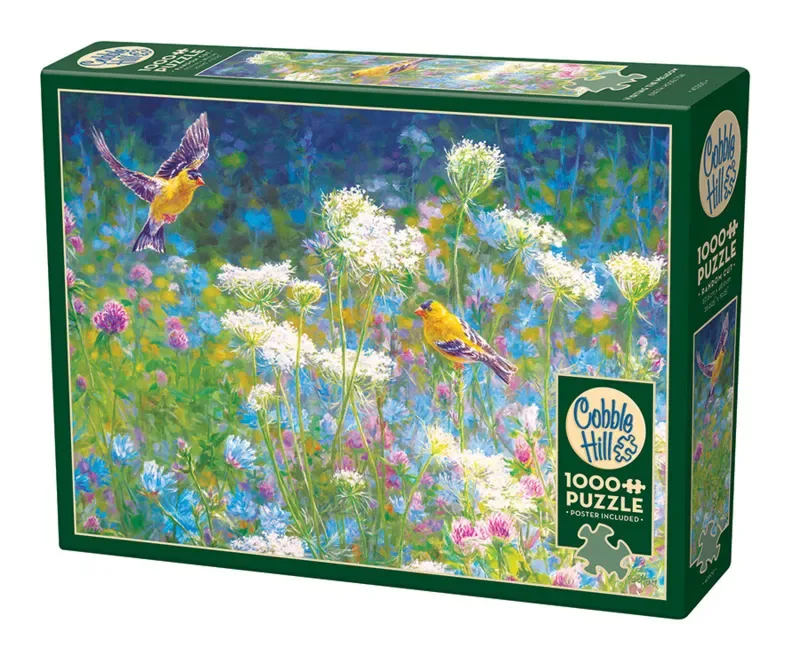 Visiting the Meadow (1000) from Cobble Hill – box 2 of 2