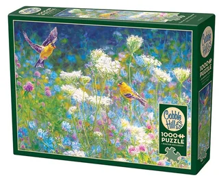 Visiting the Meadow (1000) from Cobble Hill – box 1 of 2