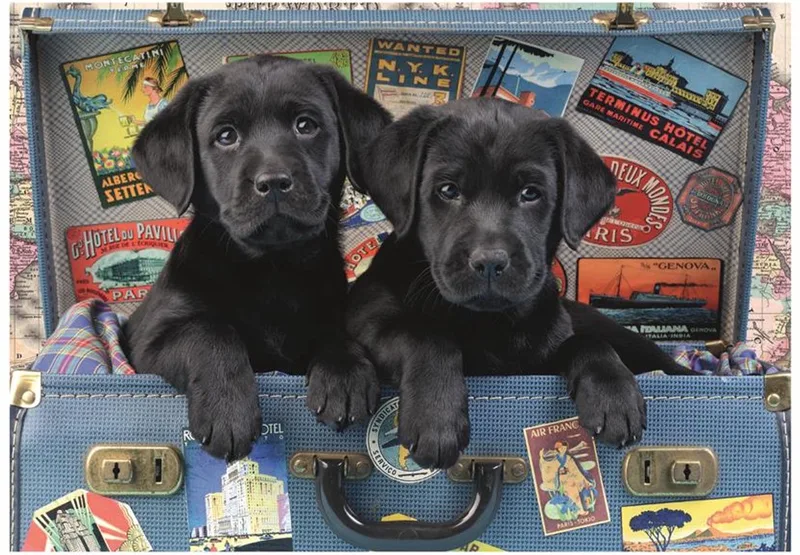 legpuzzel Puppies in een Koffer - 500 stukjes dieren puzzel. from Dino, Multicolour edition – box 1 of 2