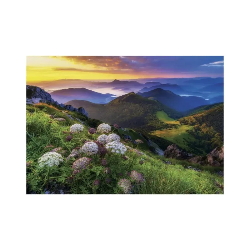 Puzzle Mala Fatra - 500 à 999 pièces de Dino – boîte