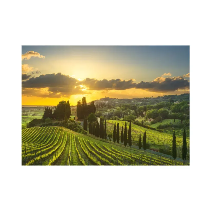 Puzzle Puzzle XL - Vignoble Maremma - 500 à 999 pièces from Dino – box