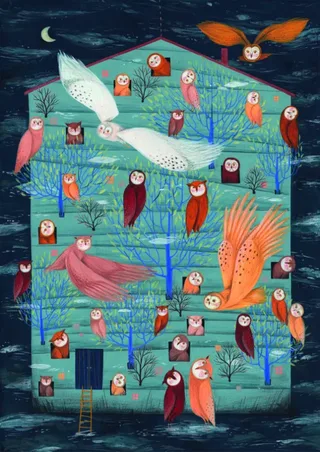 Puzzle Owl Tales - 1000 pièces de DToys – boîte 1 sur 2