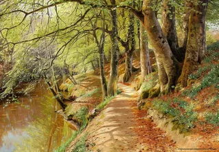 Puzzle Peder Mørk Mønsted - A Spring Day in the Woods with Fresh-Blown Beeches and Anemones in the Forest B - 1000 pièces de DToys – boîte 1 sur 2