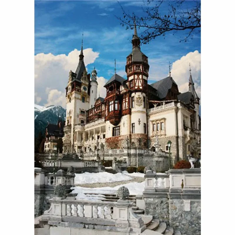 Puzzle Roumanie : Château de Peles - 1000 pièces de DToys – boîte 1 sur 2