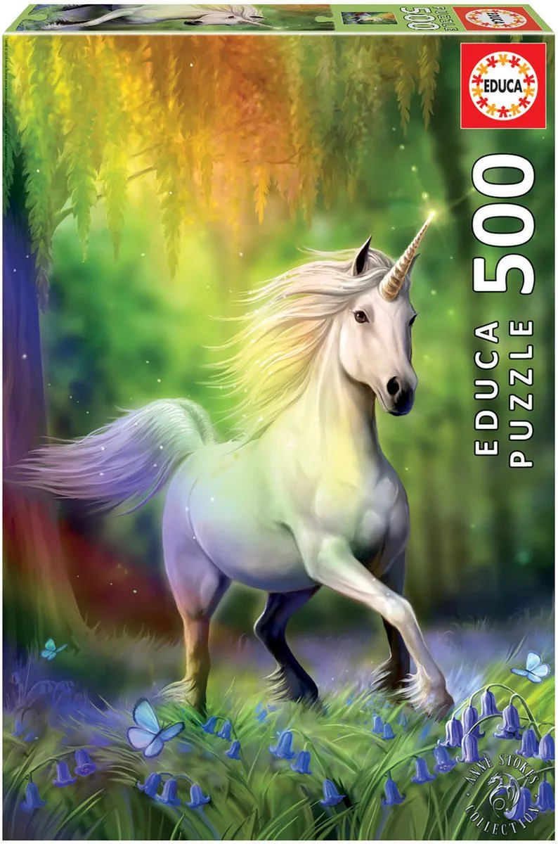 Legpuzzel - Chasing the Rainbow Anne Stokes van Educa, editie Meerkleurig – doos