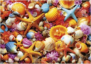 legpuzzel - Collage de Conchas 1000 Stukjes van Educa, editie Meerkleurig – doos 1 van 5