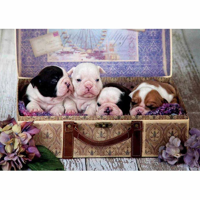 Legpuzzels - Puzzel Educa - 500 stukjes - Puppy's van Educa – doos 2 van 2
