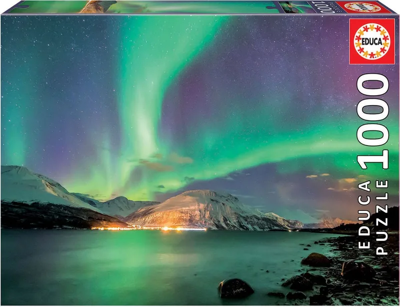 puzzel - 1000 stuks - BOREAL AURORA from Educa, Multicolour edition – box