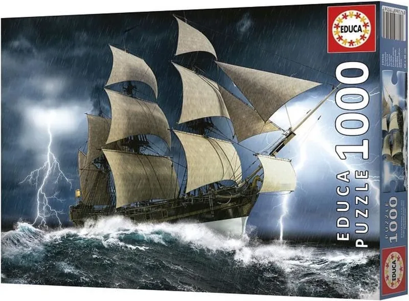 puzzel - 1000 stuks - perfecte storm from Educa – box