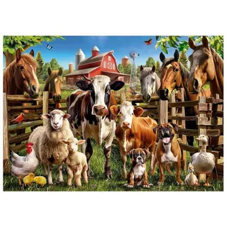 puzzel - 500 stukjes - De slimmerikken van de boerderij - Legpuzzel from Educa, Multicolour edition – box 2 of 2