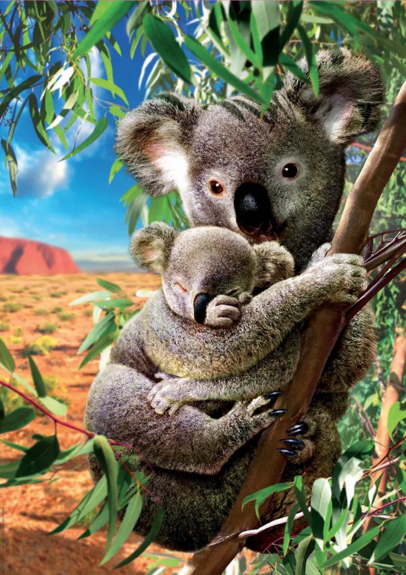 puzzel - 500 stuks - Koala de Educa, édition Multicolore – boîte