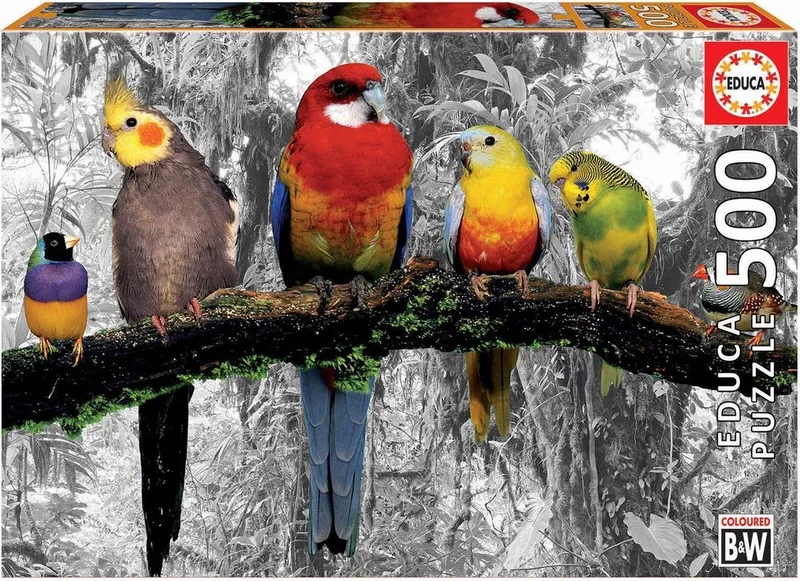 puzzel - Birds on the Jungle - 500 stukjes de Educa, édition Multi-coloured – boîte