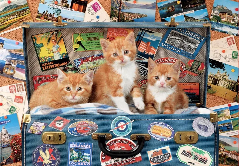 puzzel - Kittens op Reis - 200 stukjes de Educa, édition Multicolore – boîte