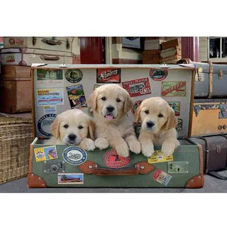 Puzzel - Puppy's in de reiskoffer - 500 stuks - Legpuzzel van Educa, editie Meerkleurig – doos 2 van 2