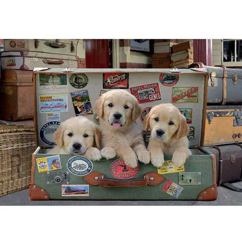 Puzzel - Puppy's in de reiskoffer - 500 stuks - Legpuzzel van Educa, editie Meerkleurig – doos 2 van 2