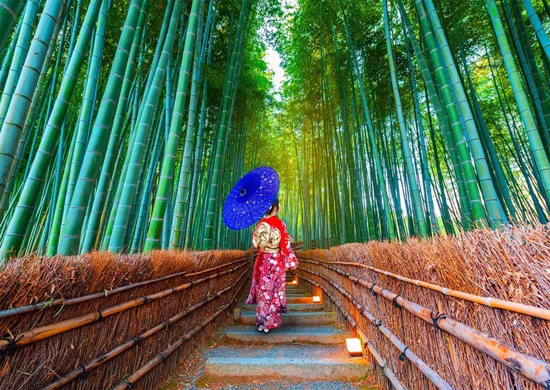 legpuzzel Asian Woman in Bamboo Forest - 1000 stukjes. från Enjoy Puzzle, utgåva Flerfärgad – kartong