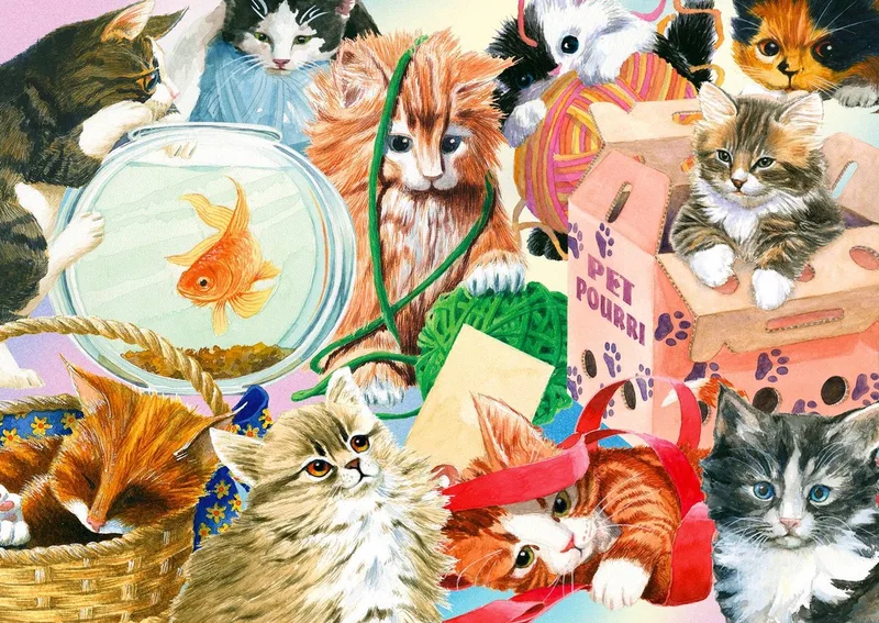 legpuzzel Curious Cats - 1000 stukjes kattenpuzzel. fra Enjoy Puzzle, Flerfarvet-udgave – æske