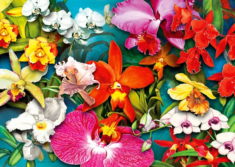 legpuzzel Orchideendschungel - 1000 stukjes kleurrijk. from Enjoy Puzzle, Multicolour edition – box