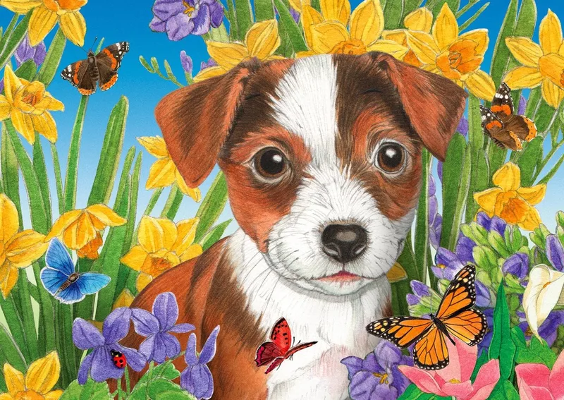 legpuzzel Puppy Garden - 1000 stukjes kleurrijk speelgoed. de Enjoy Puzzle, édition Multicolore – boîte