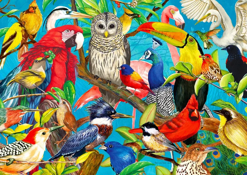 puzzel Federn über Federn - 1000 stukjes puzzelplezier. from Enjoy Puzzle, Multicolour edition – box