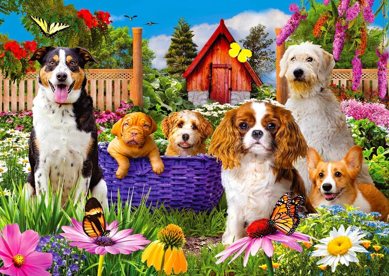 puzzel Puppy Patch - 1000 stukjes legpuzzel honden. van Enjoy Puzzle, editie Meerkleurig – doos