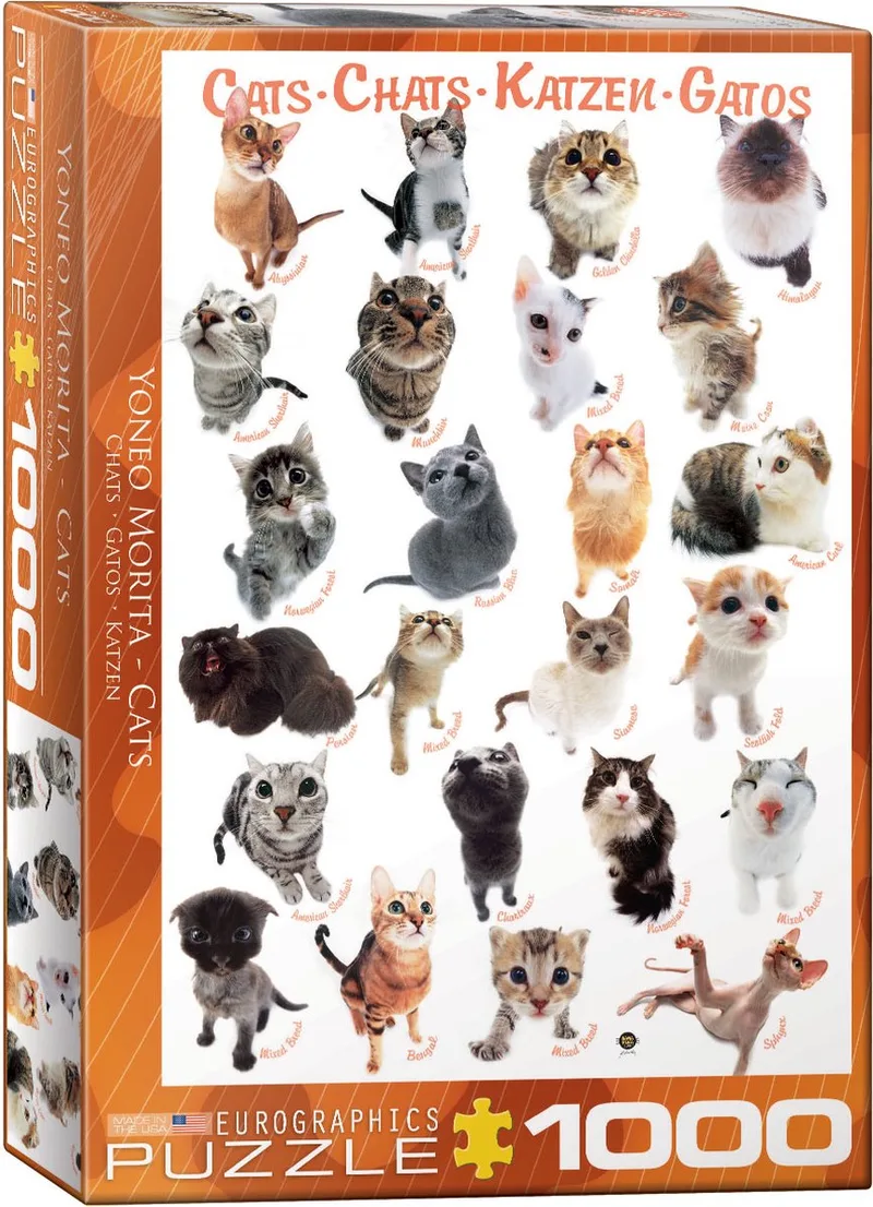 Cats 1000pcs Legpuzzel 1000 stuk(s) Dieren de Eurographics, édition Multicolore – boîte