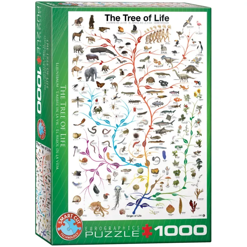 De Boom des Levens [The Tree of Life] - Evolutiediagram - 1000 stukjes 48×68cm (b×h) - Legpuzzel de Eurographics, édition Multicolore – boîte 2 sur 2