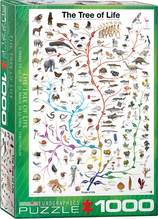 De Boom des Levens [The Tree of Life] - Evolutiediagram - 1000 stukjes 48×68cm (b×h) - Legpuzzel de Eurographics, édition Multicolore – boîte 1 sur 2