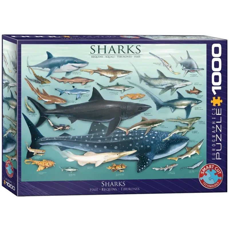 Haaien [Sharks] - 1000 stukjes 68×48cm (b×h) - Legpuzzel van Eurographics, editie Meerkleurig – doos 2 van 2