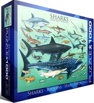 Haaien [Sharks] - 1000 stukjes 68×48cm (b×h) - Legpuzzel van Eurographics, editie Meerkleurig – doos 1 van 2