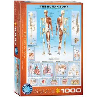 Het Menselijk Lichaam [The Human Body] - 1000 stukjes 48×68cm (b×h) - Legpuzzel de Eurographics, édition Multicolore – boîte 2 sur 2