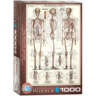Het Skeletsysteem [Skeletal System] - 1000 stukjes 48×68cm (b×h) - Legpuzzel from Eurographics, Multicolour edition – box 2 of 2