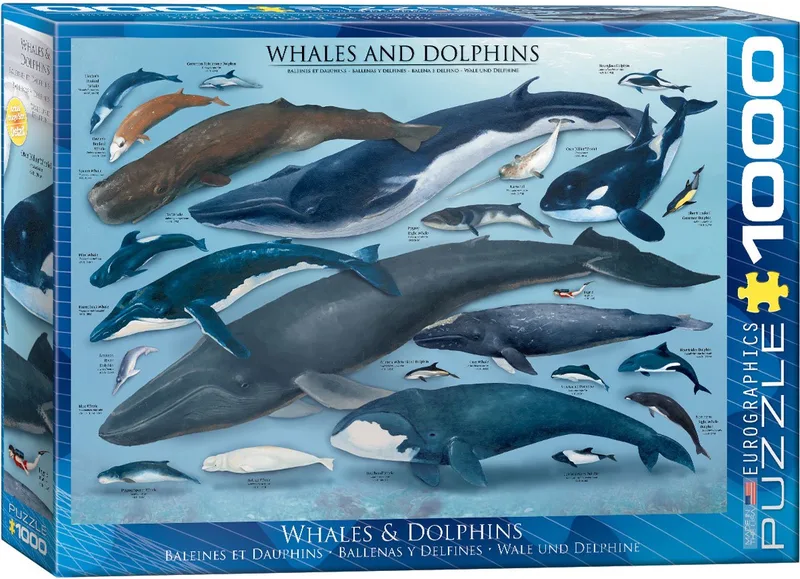 legpuzzel - dolfijnen en walvissen - 1000 stukjes - fauna. van Eurographics, editie Meerkleurig – doos