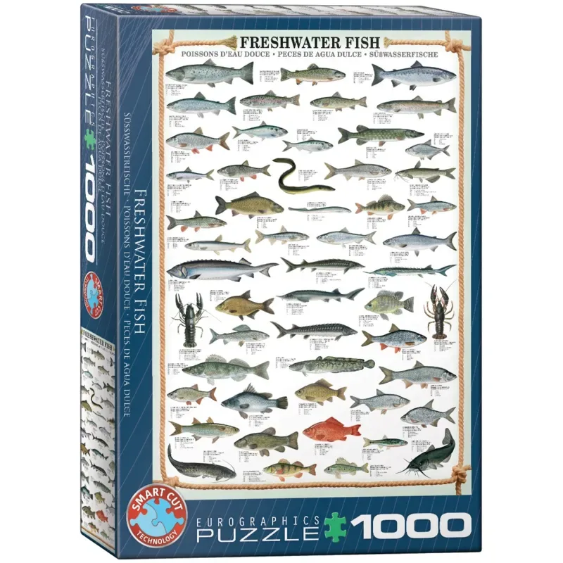 legpuzzel vissen - 1000 stukjes puzzel volwassenen. de Eurographics, édition Multicolore – boîte 2 sur 2