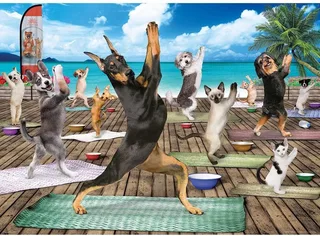 puzzel Yoga Spa - 500 stukjes from Eurographics, Multicolour edition – box 1 of 2