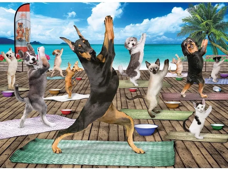 puzzel Yoga Spa - 500 stukjes van Eurographics, editie Meerkleurig – doos