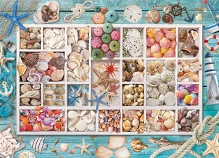 Puzzle Collection de Coquillages - 1000 pièces van Eurographics – doos 1 van 2