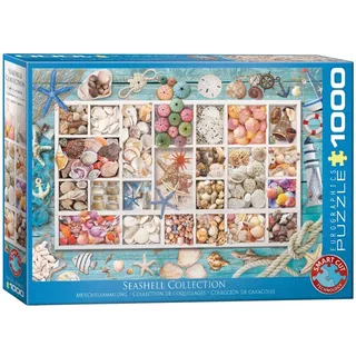 Puzzle Collection de Coquillages - 1000 pièces van Eurographics – doos 2 van 2