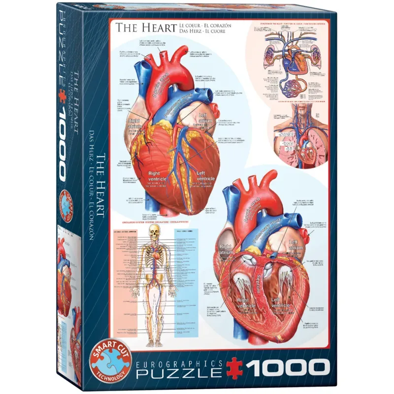 Puzzle Le coeur - 1000 pièces van Eurographics – doos 2 van 2