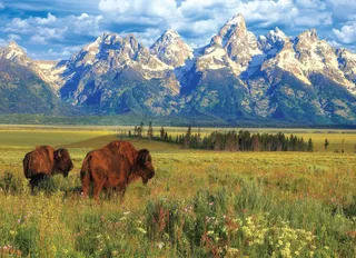 Puzzle Parc National Grand Teton - 1000 pièces de Eurographics – boîte 1 sur 2