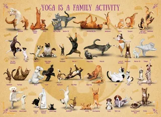 Puzzle Pièces XXL - Yoga is A Family Activity - 500 à 999 pièces van Eurographics – doos 1 van 2
