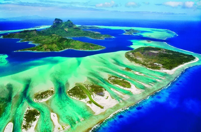Puzzle Save the Planet Collection - Récif de Corail - 1000 pièces de Eurographics – boîte