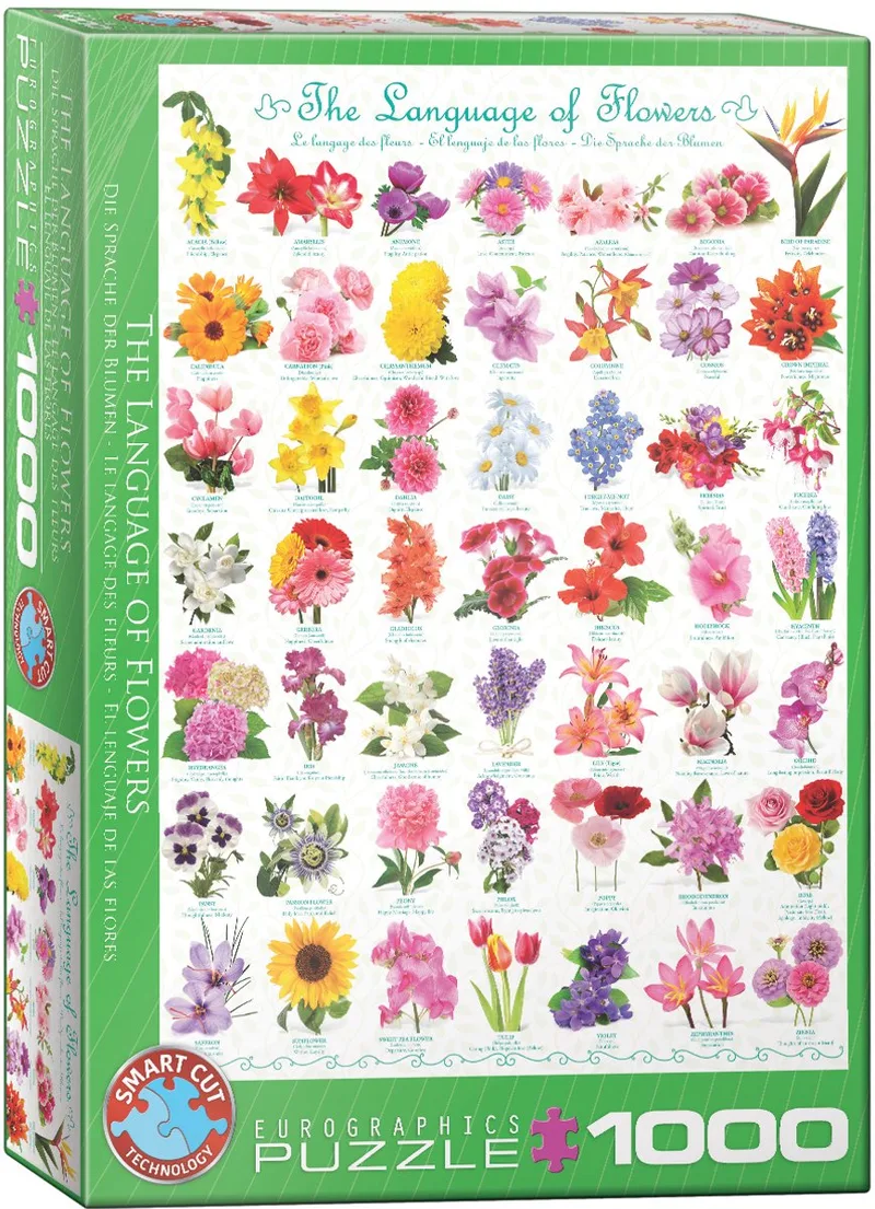 The Language of Flowers (1000) van Eurographics, editie Meerkleurig – doos