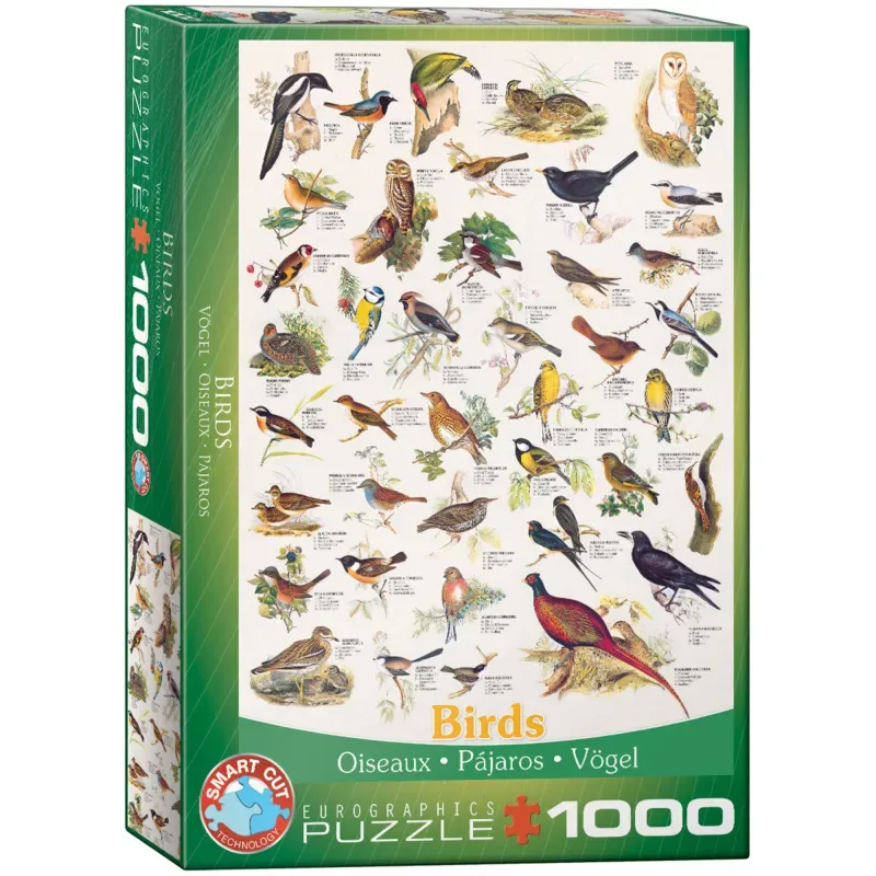 Vogels [Birds] - 1000 stukjes 48×68cm (b×h) - Legpuzzel de Eurographics, édition Multicolore – boîte 2 sur 2